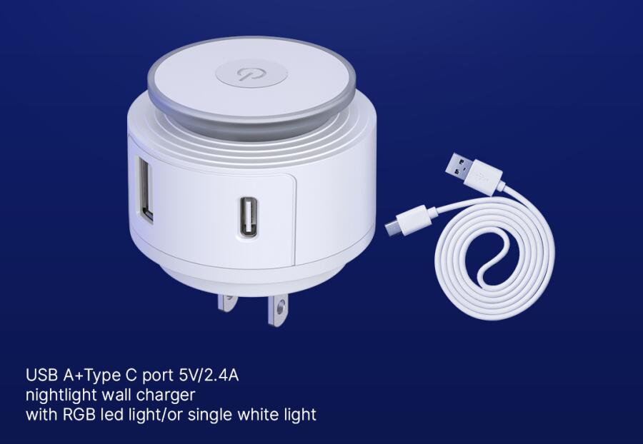 USB A+C 5V/2.4A壁式充電器方案